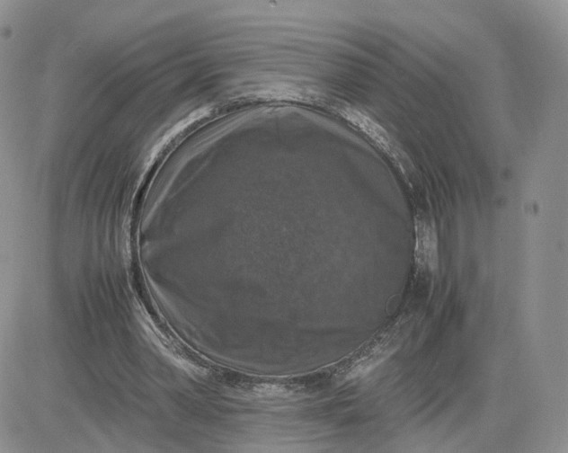 X0000081470390200701262008