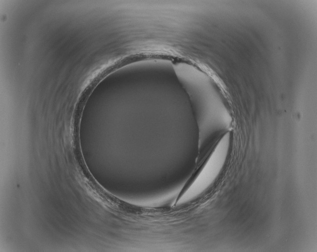 X0000081470391200701262008