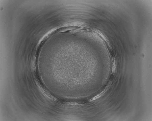 X0000081470392200701262008