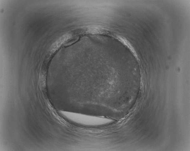 X0000081470393200701262008