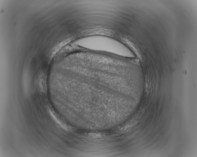 X0000081470394200701262008