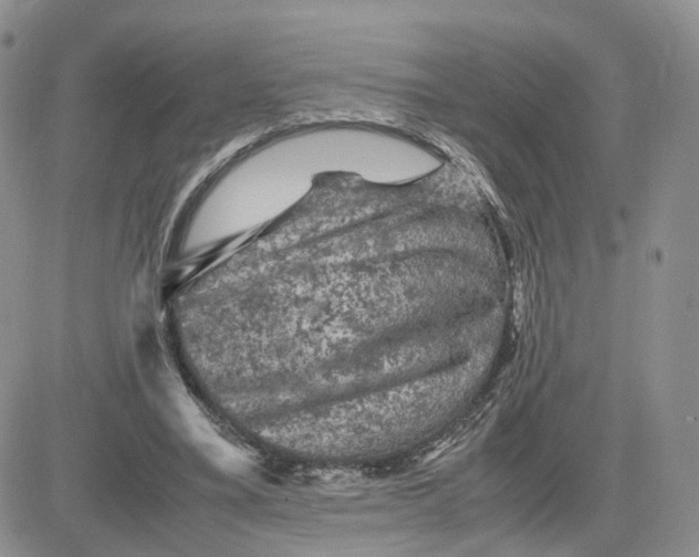 X0000081470395200701262008