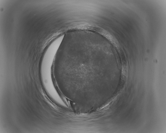 X0000081470397200701262008