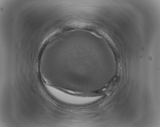 X0000081470399200701262008