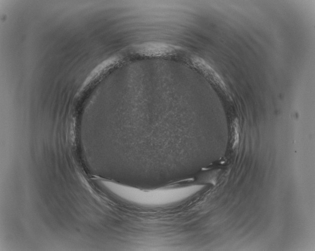 X0000081470400200701262008