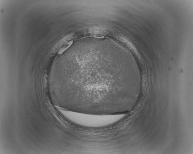 X0000081470401200701262008