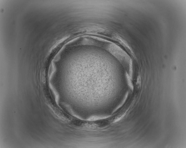 X0000081470403200701262008