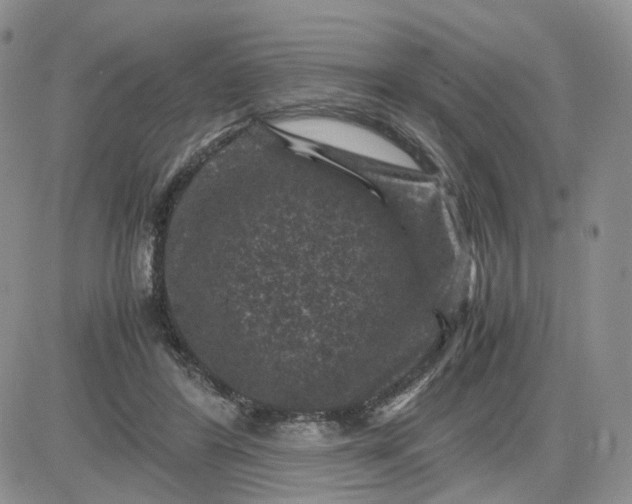 X0000081470404200701262008