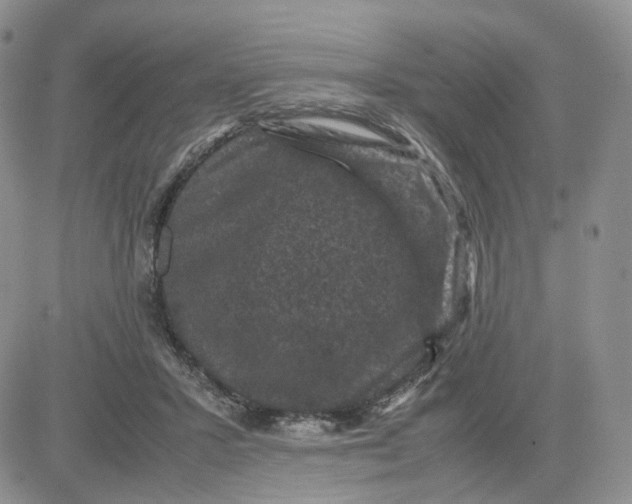 X0000081470407200701262008