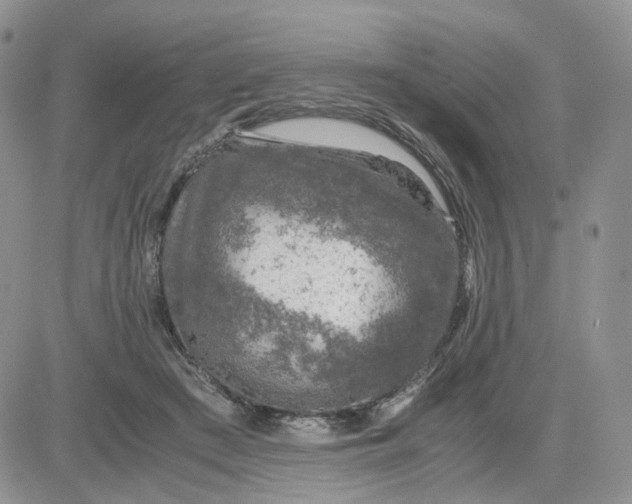 X0000081470409200701262008