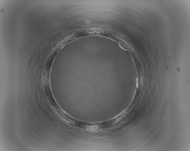 X0000081470411200701262008