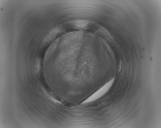 X0000081470412200701262008