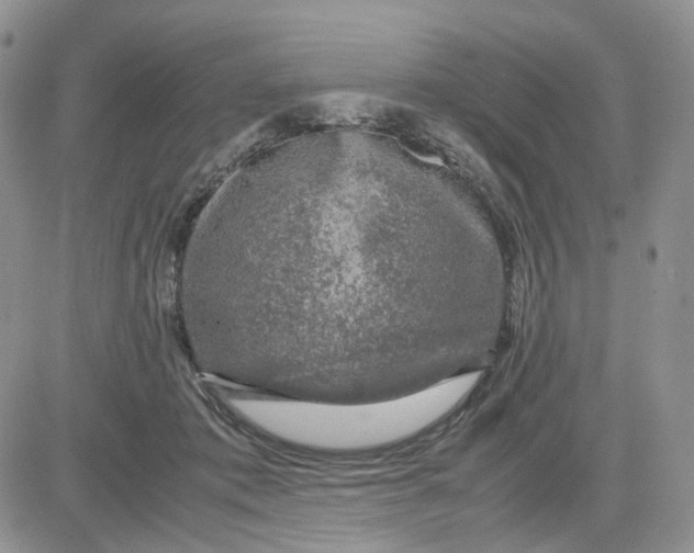 X0000081470413200701262008