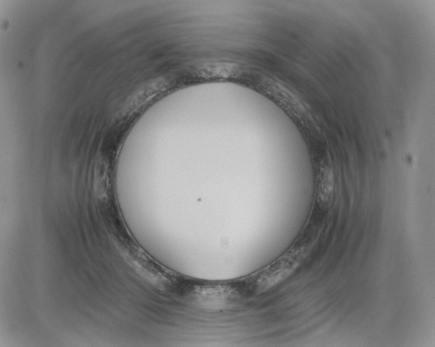 X0000081470414200701262008