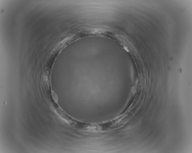 X0000081470415200701262008