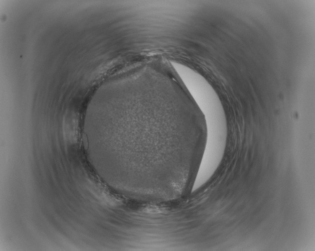 X0000081470416200701262008