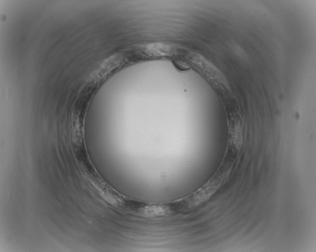 X0000081470418200701262008