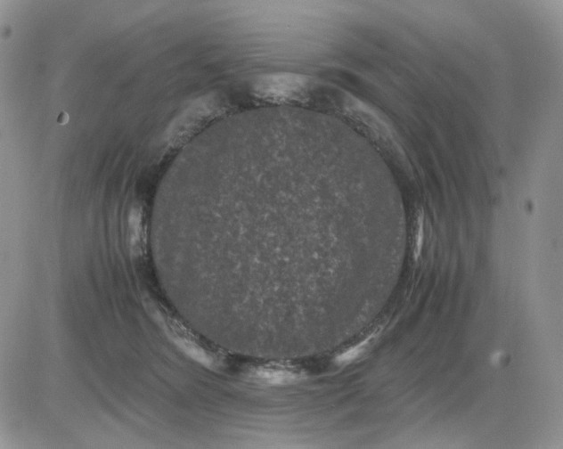 X0000081470420200701262008