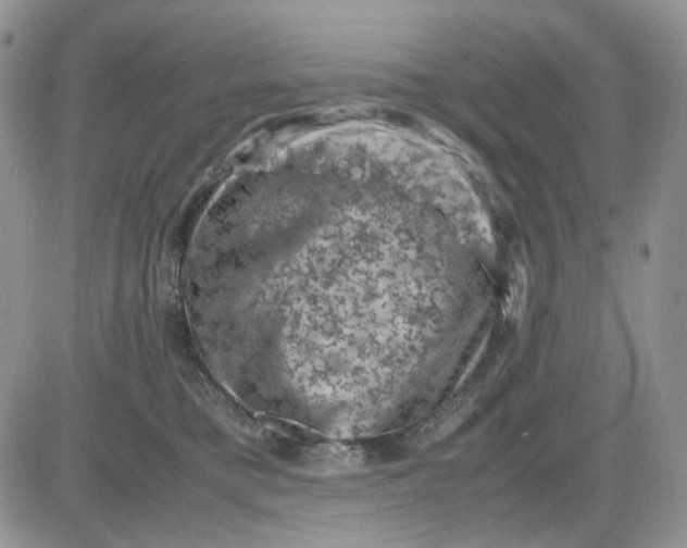 X0000081470421200701262008