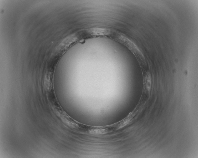 X0000081470422200701262008