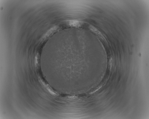 X0000081470424200701262008