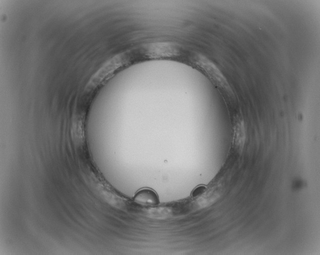 X0000081470426200701262008