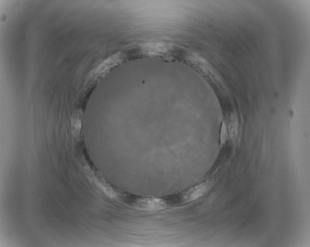 X0000081470427200701262008