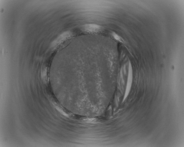 X0000081470428200701262008