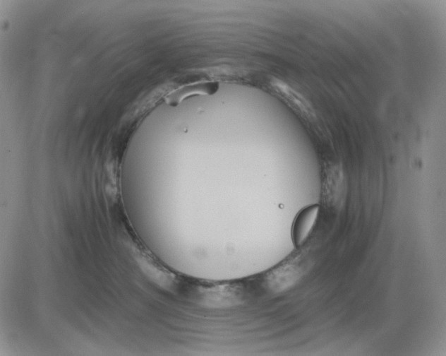 X0000081470430200701262008