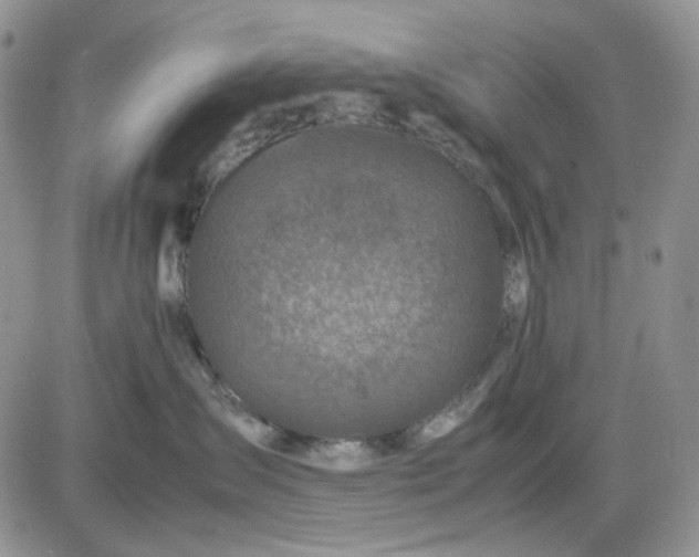 X0000081470431200701262008