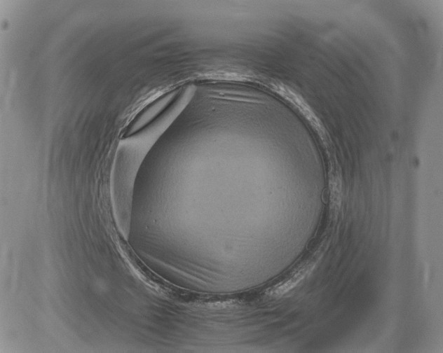 X0000081470433200701262007