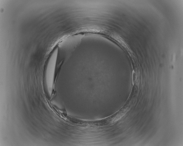 X0000081470434200701262007