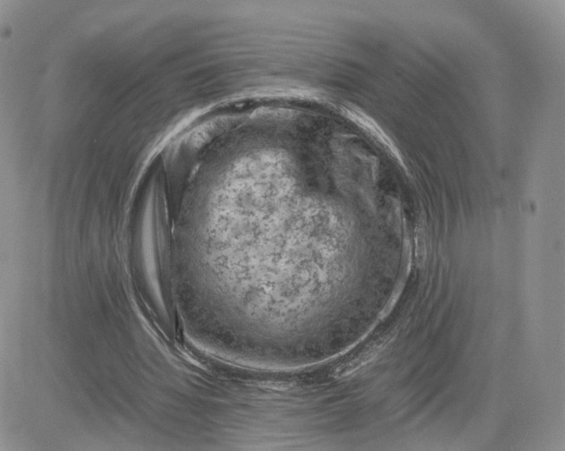 X0000081470436200701262007