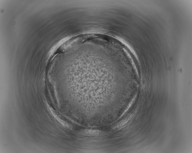 X0000081470437200701262007