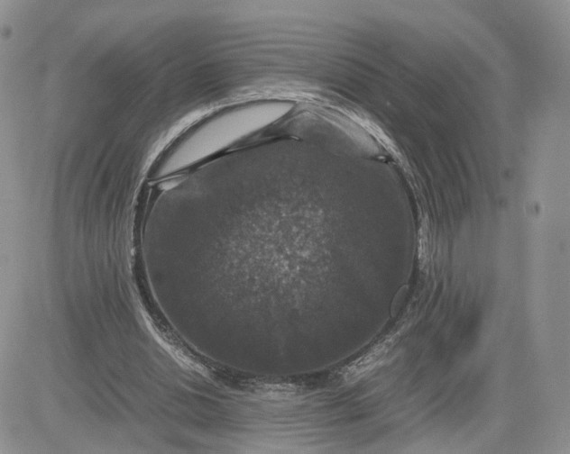 X0000081470438200701262007