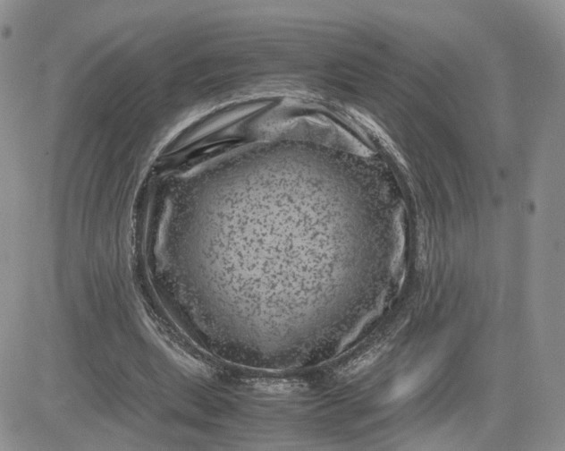 X0000081470439200701262007