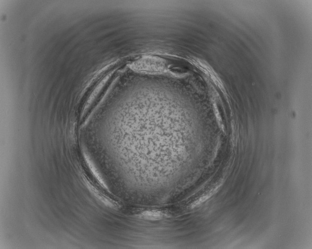 X0000081470441200701262007