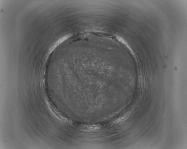 X0000081470443200701262007