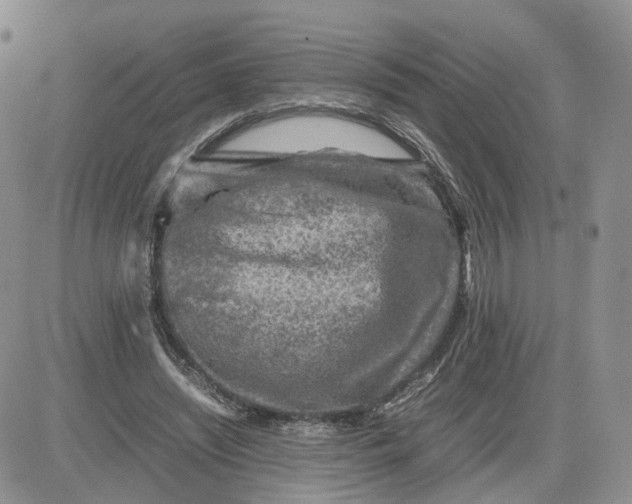 X0000081470444200701262007