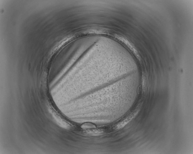 X0000081470445200701262007