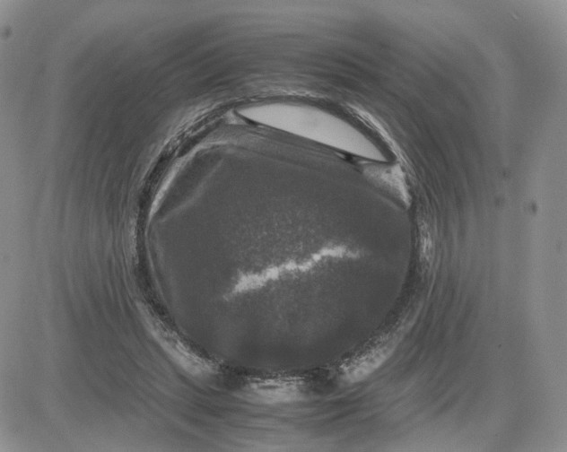 X0000081470447200701262007