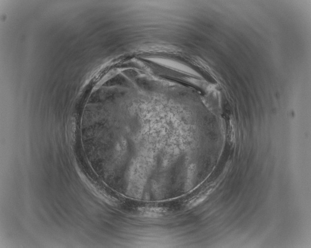 X0000081470448200701262007