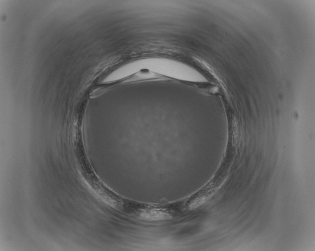 X0000081470451200701262007