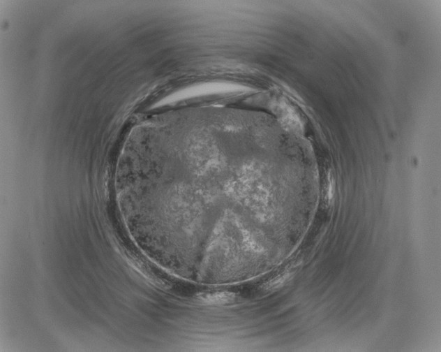 X0000081470452200701262007