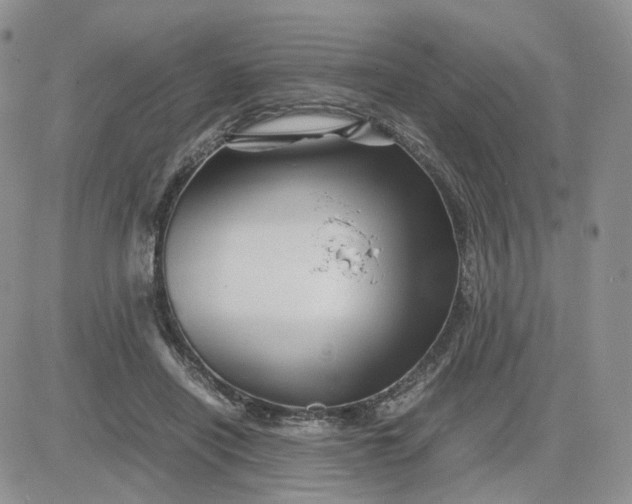 X0000081470454200701262007