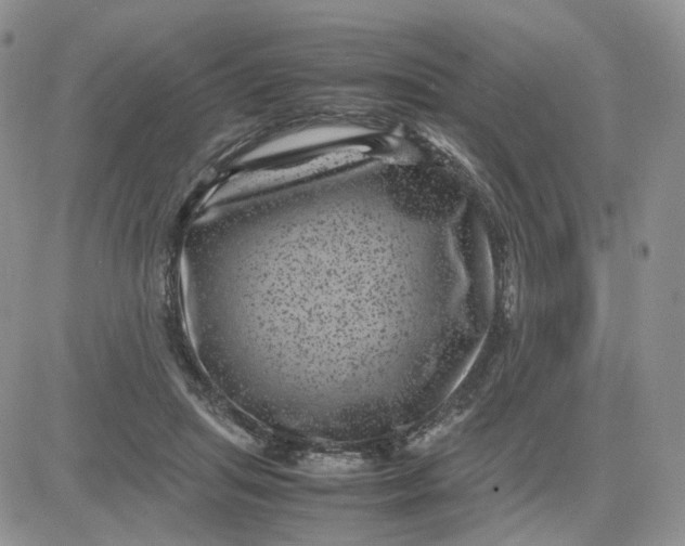 X0000081470455200701262007