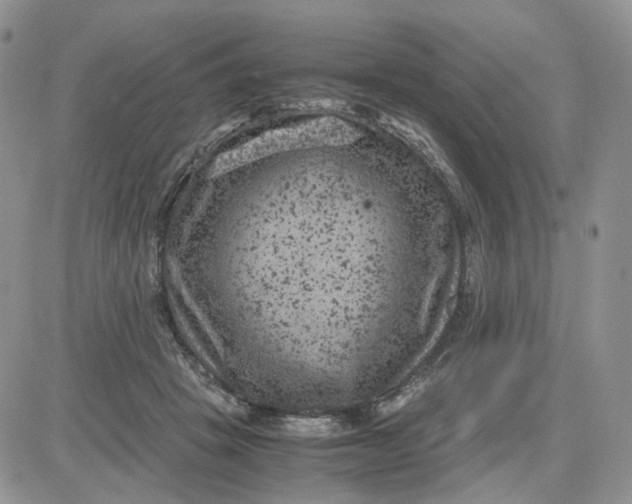 X0000081470457200701262007