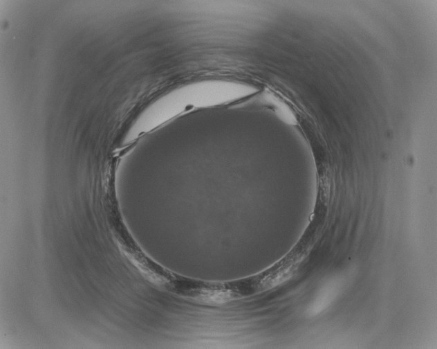 X0000081470458200701262007