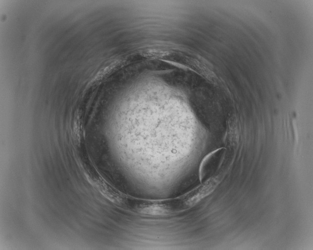 X0000081470460200701262007