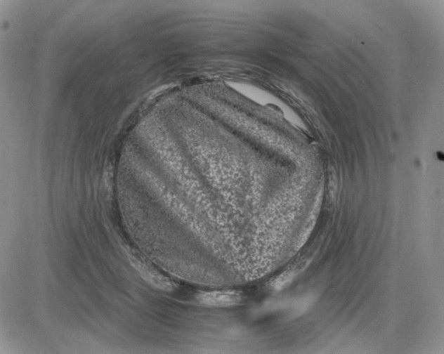 X0000081470461200701262007